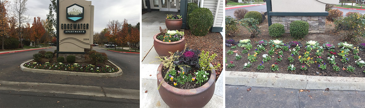 boise flower bed maintenance