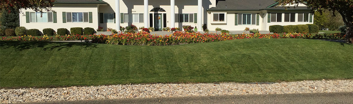 boise lawn care 